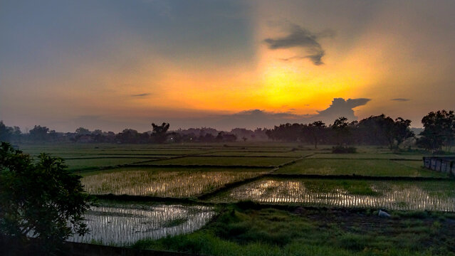 A breathtaking view of a golden sunrise illuminates vast flooded rice paddies, casting warm reflections on the water and silhouetting the distant trees in a peaceful rural landscape.