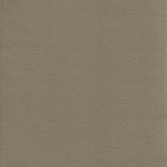Realistic Watercolor Paper Texture in a neutral earthy tone