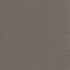 Realistic Watercolor Paper Texture in a neutral earthy tone