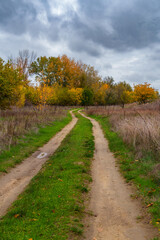 beautiful landscape of country road in autumn forest with bright yellow leaves on trees, cloudy weather