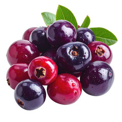 Fototapeta premium A cluster of glossy, wet red and dark purple jamun berries with green leaves against a black background.