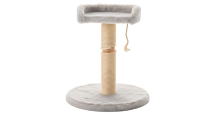 cat scratcher isolated on white background