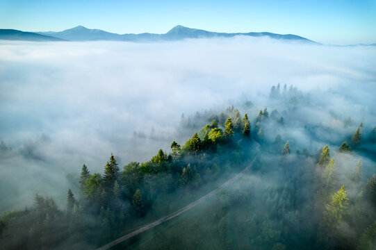 Aerial view of mountain ridge cloaked in dense fog, with treetops emerging through mist. Winding path leads through the forest, creating surreal and tranquil scene under clear blue sky. - Powered by Adobe