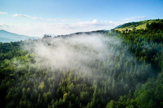 Aerial view. Sunlight filters through mist, casting long shadows over dense forest below. Hills in distance add depth to scene, creating serene and mystical atmosphere as clouds roll over landscape. - Powered by Adobe