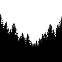 Fototapeta premium Silhouette of a Dense Evergreen Forest Against a White Sky.