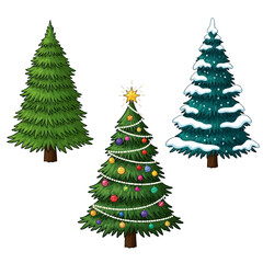 Three Christmas Trees - Decorated, Snow-Covered, and Plain Green.