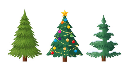 Three Christmas Trees - Decorated, Plain, and Snow-Covered.