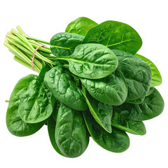 Obraz premium A fresh bunch of vibrant green spinach leaves tied together against a black background.