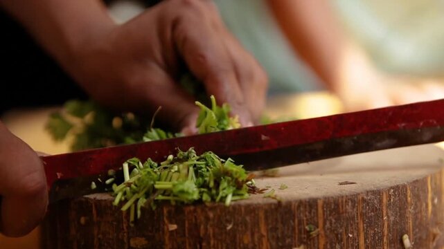 Closeup shot of Chopping coriander leaf's.