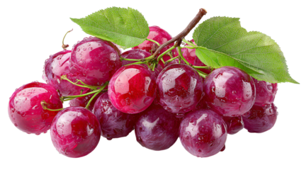 Wet fresh red grapes with vibrant green leaves, healthy snack choice