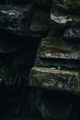 Stones in the forest, covered with moss. Texture of natural stone