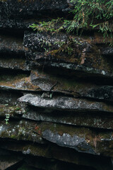 Stones in the forest, covered with moss. Texture of natural stone

