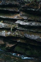 Stones in the forest, covered with moss. Texture of natural stone
