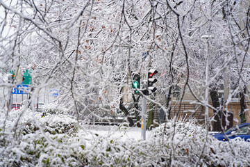 Winter City Scene With Snowcovered