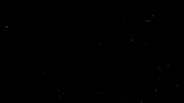 Grungy black background with dust and scratches, creating a vintage film texture that flickers in a stop motion style. A seamless loop for retro overlays and texture for video project.