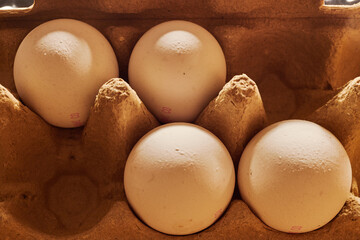 Close-up of several chicken eggs in a paper egg carton