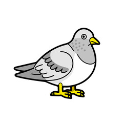A stylized cartoon pigeon with gray and white feathers and yellow feet stands against a black background, featuring simple lines and a flat design aesthetic