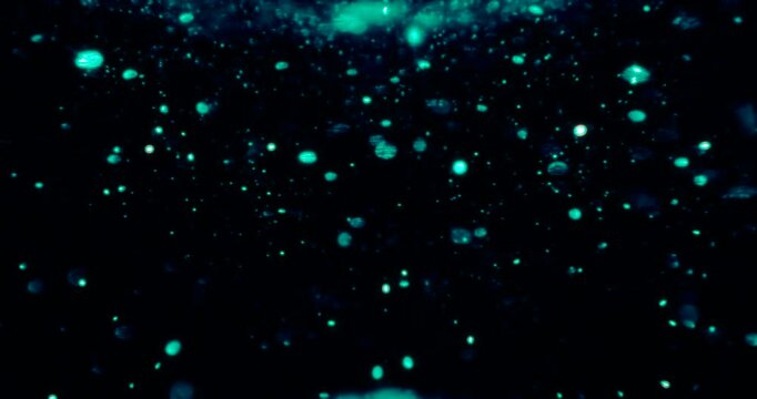Particles float in water over a dark background, reflecting top light in green and blue hues, creating a glittering, halo-like, cosmic universe effect.