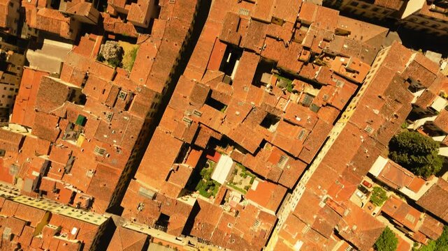 Bird's-eye view flight over the terracotta roofs of Florence