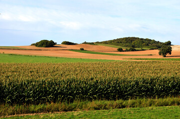 Nieders&auml;chsische Landschaft bei Wittenburg