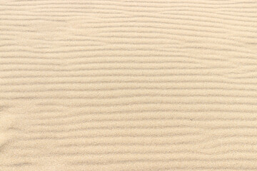 Fine sand surface with natural ripple texture.