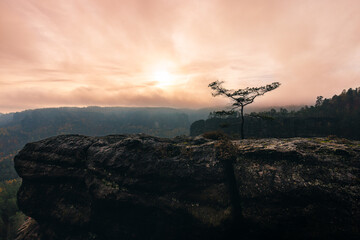 view from the kleiner winterberg saxony switzerland with a lot of fog moody mood foggy cloudy and sun though the clouds