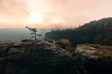 view from the kleiner winterberg saxony switzerland with a lot of fog moody mood foggy cloudy and sun though the clouds