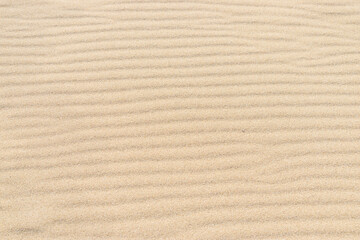 Fine sand surface with natural ripple texture.