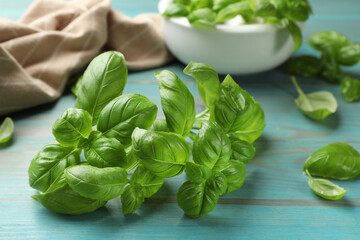 Fresh basil leaves on light blue wooden table, closeup