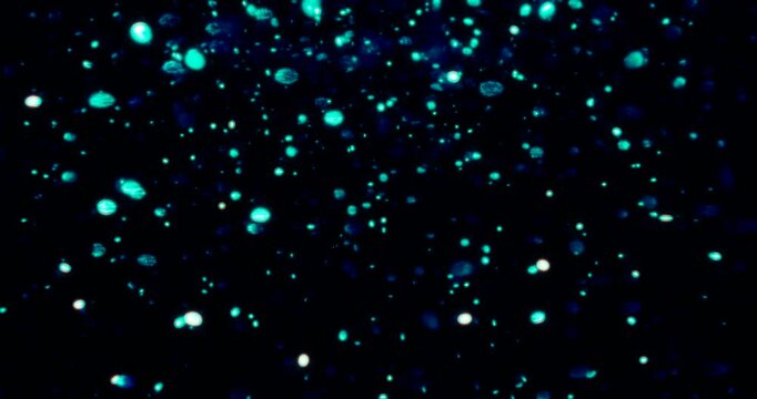 Particles float in water over a dark background, reflecting top light in green and blue hues, creating a glittering, halo-like, cosmic universe effect.