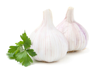Fresh garlic and parsley isolated on white