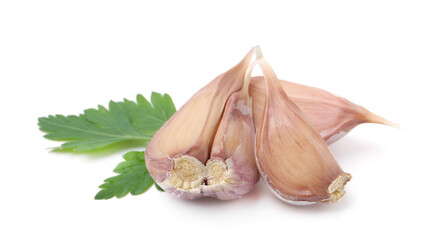 Fresh garlic and parsley isolated on white