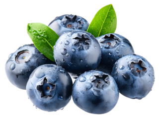 fresh blueberries with leaves isolated on white or transparent png