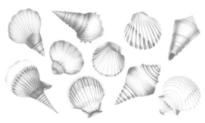 Halftone seashells, marine shell illustration, vector style, dotted shading, clean lines, high-contrast halftone texture, modern coastal design, stylized ocean elements.