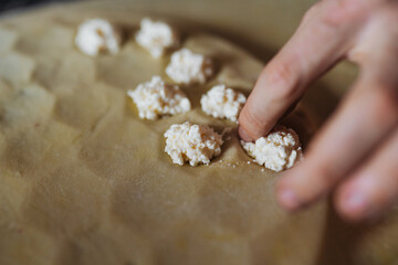 homemade dumplings being prepared, rustic kitchen scene with familyfriendly dumpling preparation