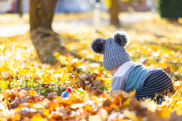 Baby playing in vibrant autumn leaves outdoors