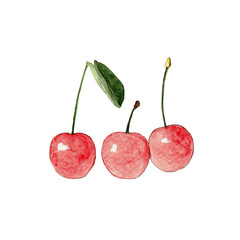 Watercolor cherry berries isolated on transparent background, sticker clipart