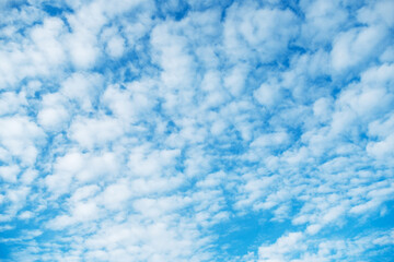 Fototapeta premium Fluffy white clouds scatter across a vibrant blue sky, creating a peaceful and serene cloudscape. The image captures the beauty of a clear day, evoking tranquility and calm.
