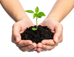 Hände halten Erde mit junger Pflanze – Symbol für Wachstum, Erneuerung und Zukunft