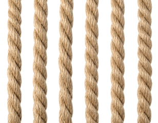 Set aus Seilen isoliert auf weißem Hintergrund – freigestellte Kordeln und Schnüre	