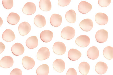 Scattered pink rose petals on transparent background