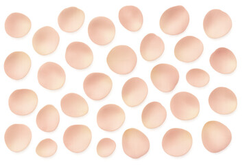 Falling pink rose petals scatter on transparent background