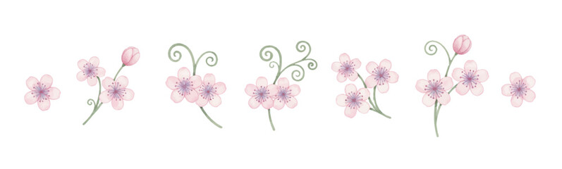 pink flowers on white background