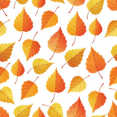 autumn leaves vector illustration
