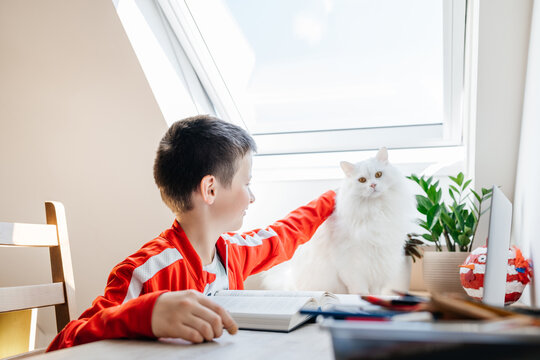 Boy petting white cat during study break at home
