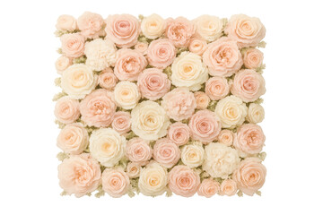 Pastel pink and cream roses arrangement transparent background