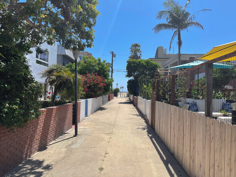 Sunny residential alley leading toward the beach, lined with tropical plants and palm trees.