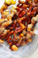 Reishi mushroom - fruiting body of Ganoderma multipileum medicinal fungi, used in traditional Chinese medicine.