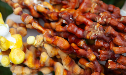 Reishi mushroom - fruiting body of Ganoderma multipileum medicinal fungi, used in traditional Chinese medicine.