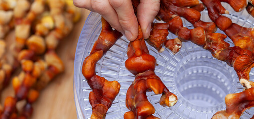 Reishi mushroom - fruiting body of Ganoderma multipileum medicinal fungi, used in traditional Chinese medicine.